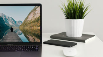 macbook with plant next to it