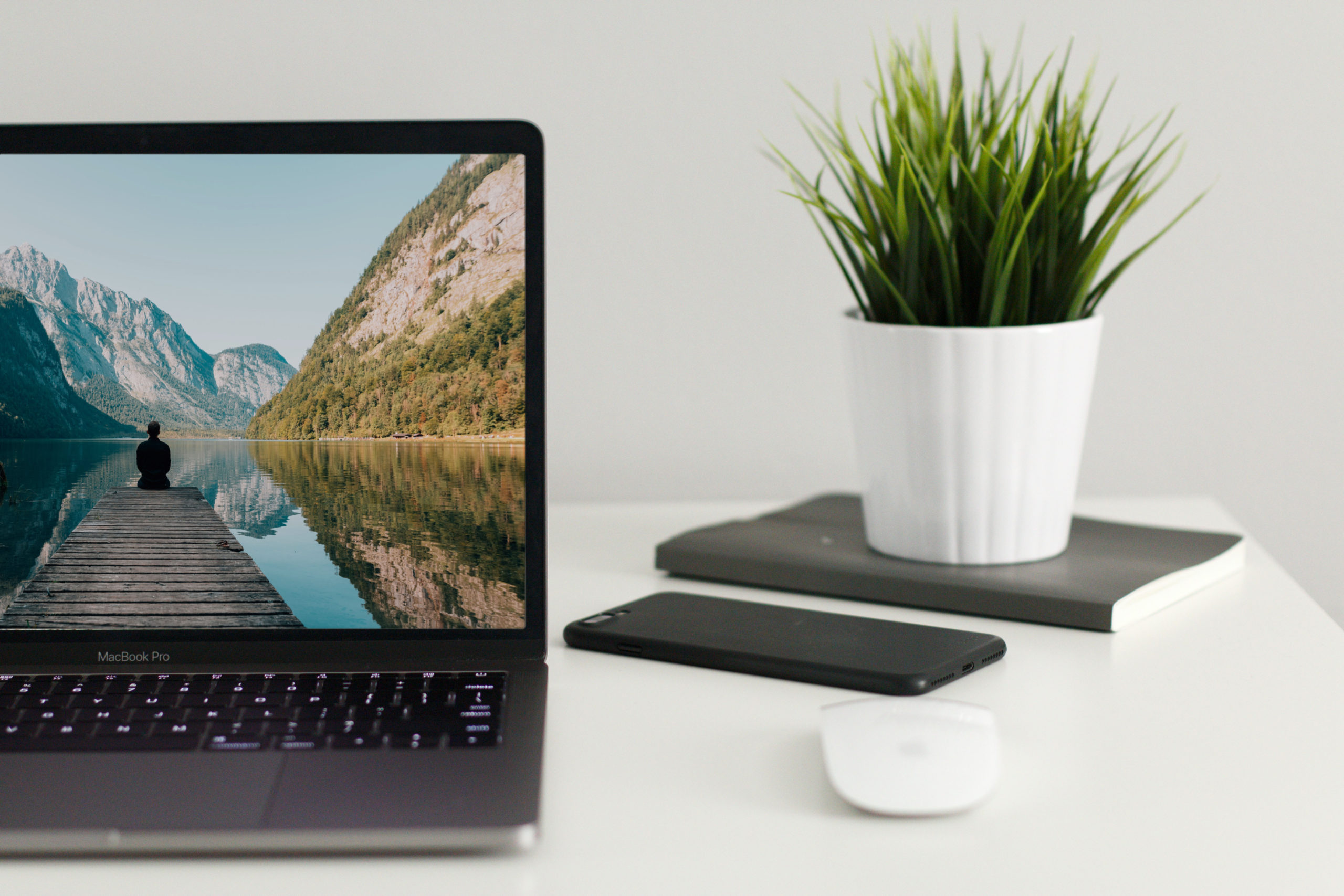 macbook with plant next to it