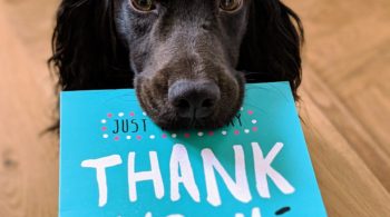 dog holding thank you card in mouth