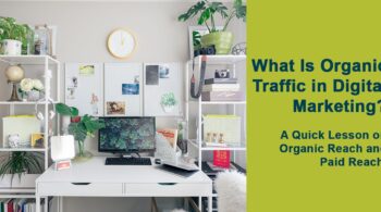 view of office desk decorated with plants
