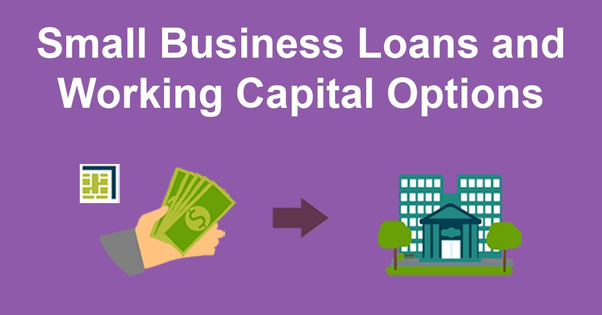 Business Loans and Working Capital Options illustration